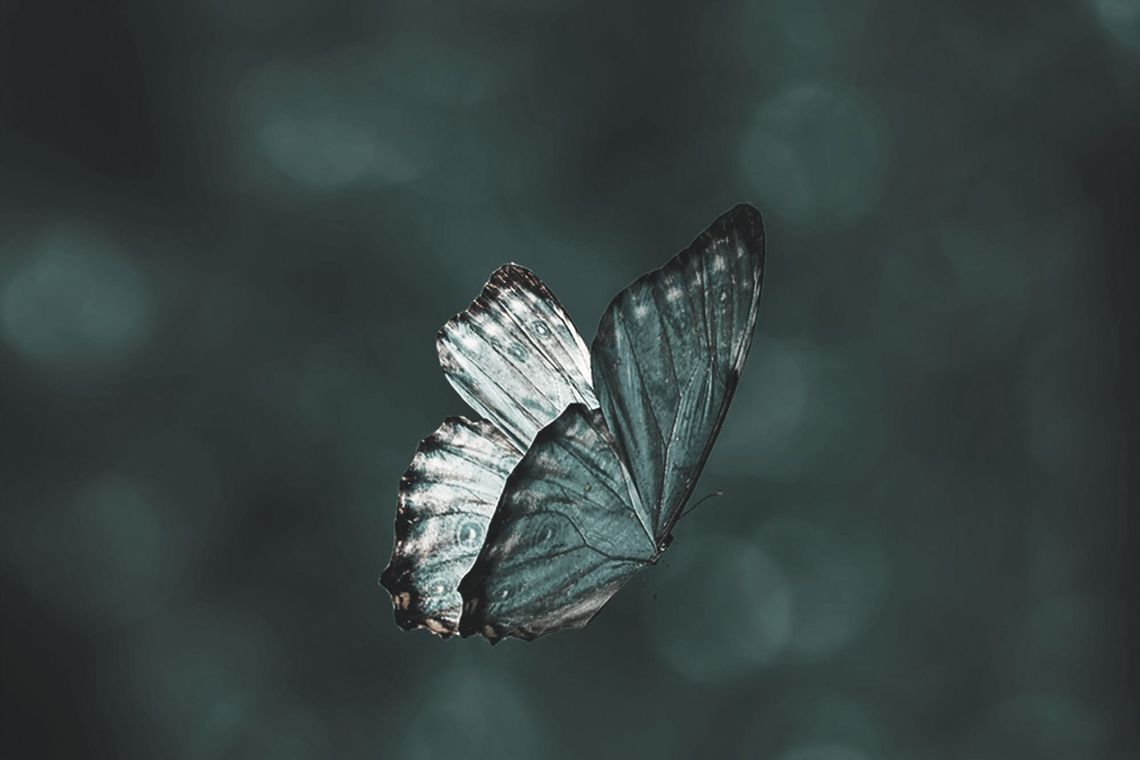 Resilience, rewritten