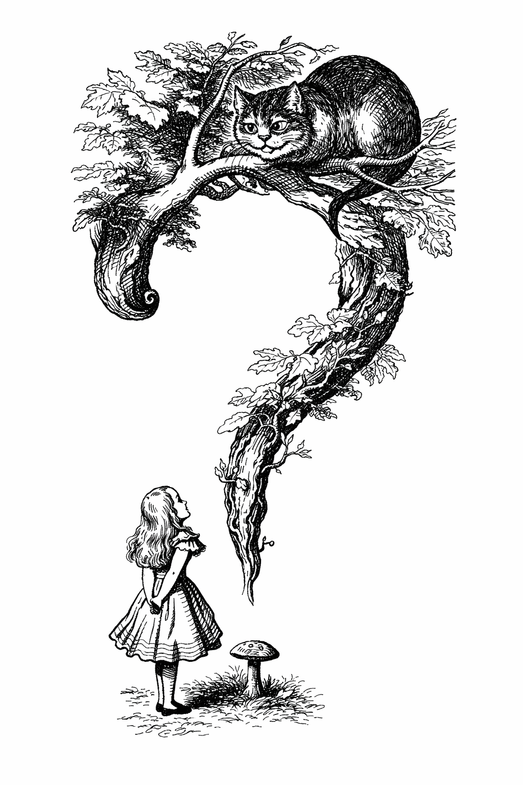 On Being Curious
