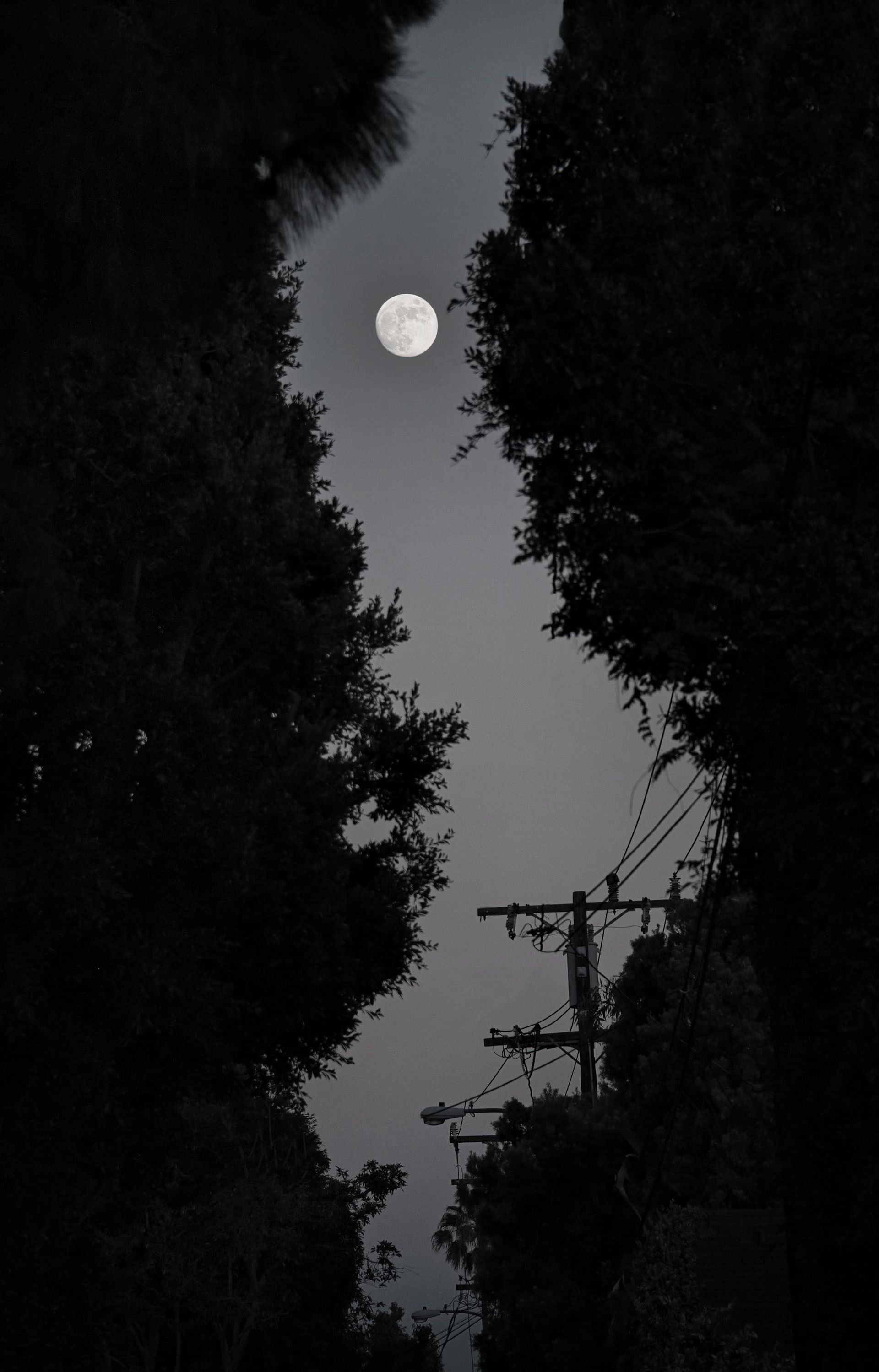 Why Does The Moon Follow Us?