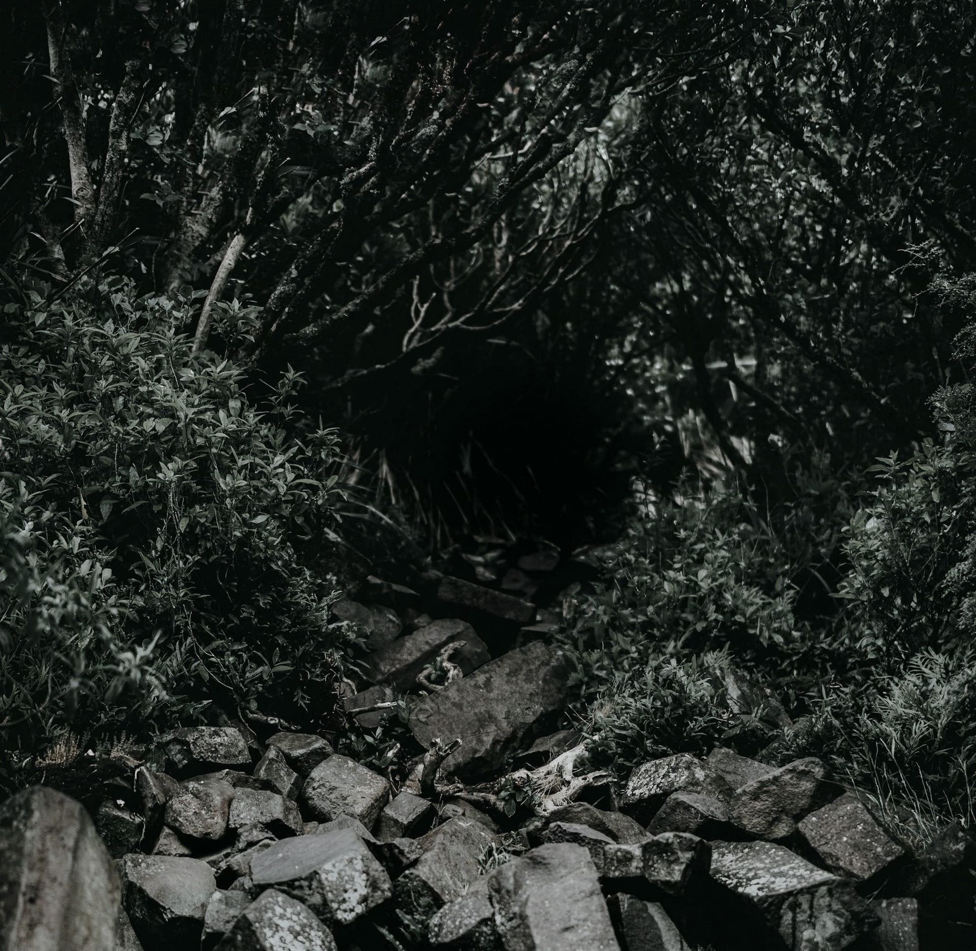Down the rabbithole