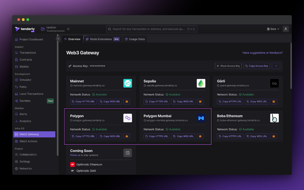 Polygon Network Supported in Tenderly Web3 Gateway