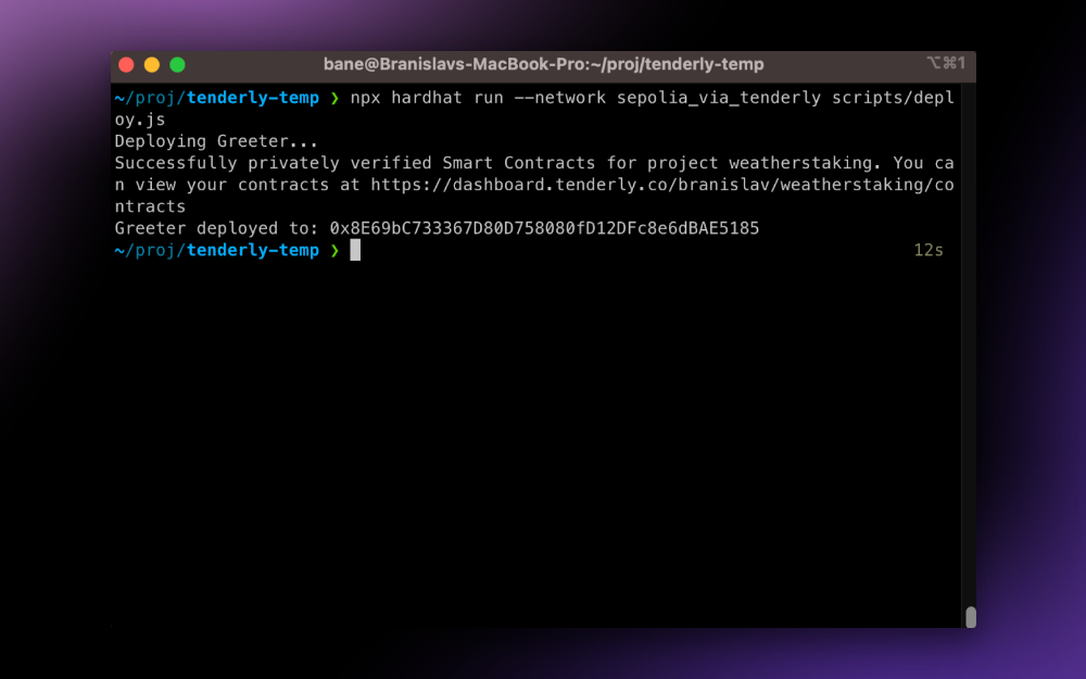 Running the script for smart contract deployment