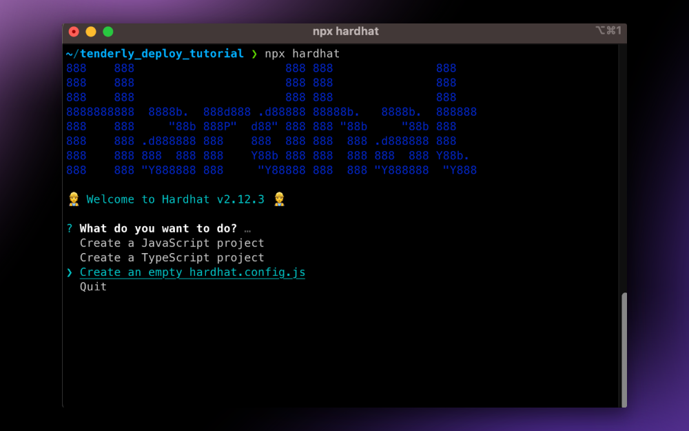 Setting up a Hardhat project