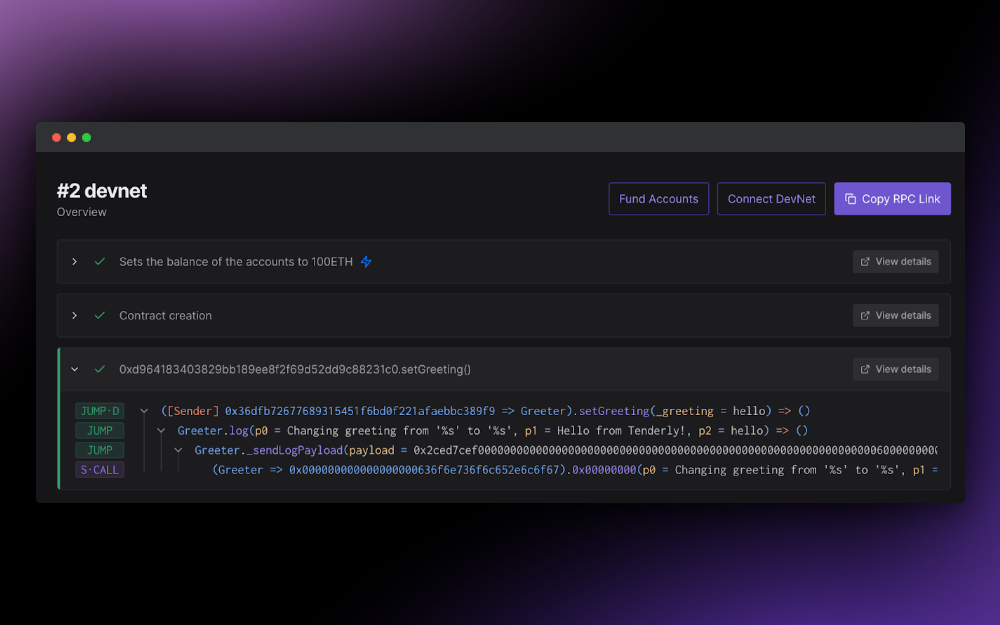 Simulating transaction execution within a DevNet