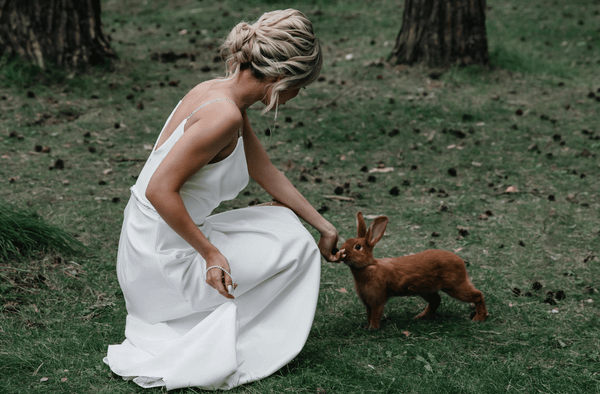 Does Cruelty-Free Mean Vegan?