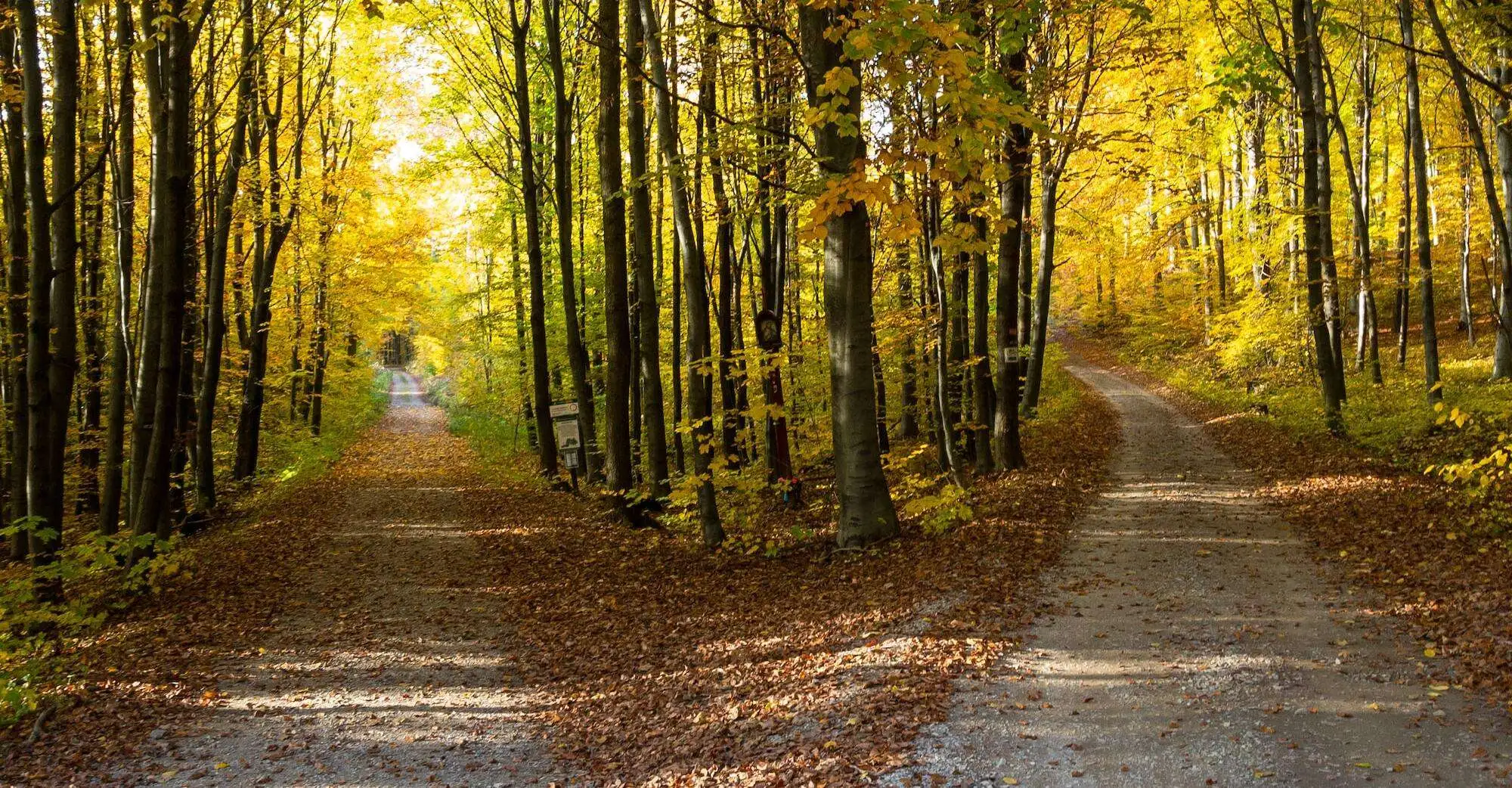 Choosing Effective SLIs