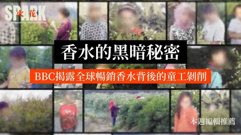 香水的黑暗秘密：BBC揭露全球暢銷香水背後的童工剝削