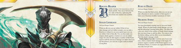 Rift Warden's Rogue Reaper Subclass