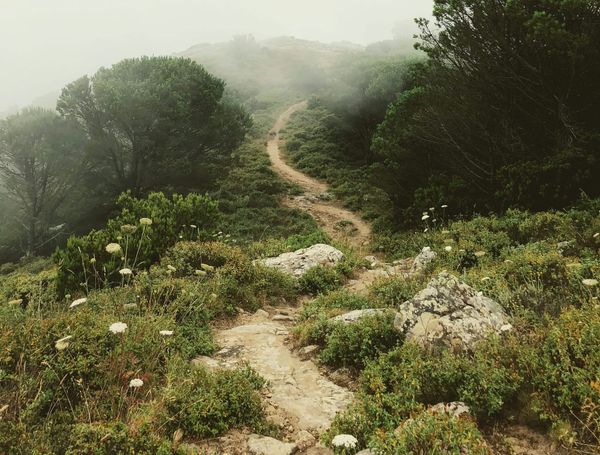 The Rocky Road to Biopolymer Cost Parity