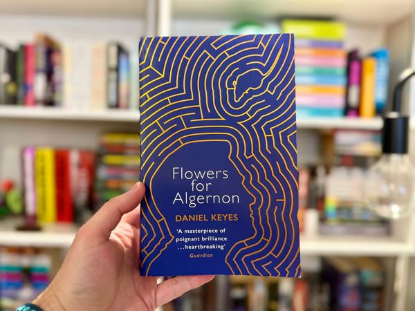 The cover of Flowers for Algernon (blue cover with gold foil showing the outline of a maze, a person's head, and a mouse) held up against a blurry background of a bookshelf.