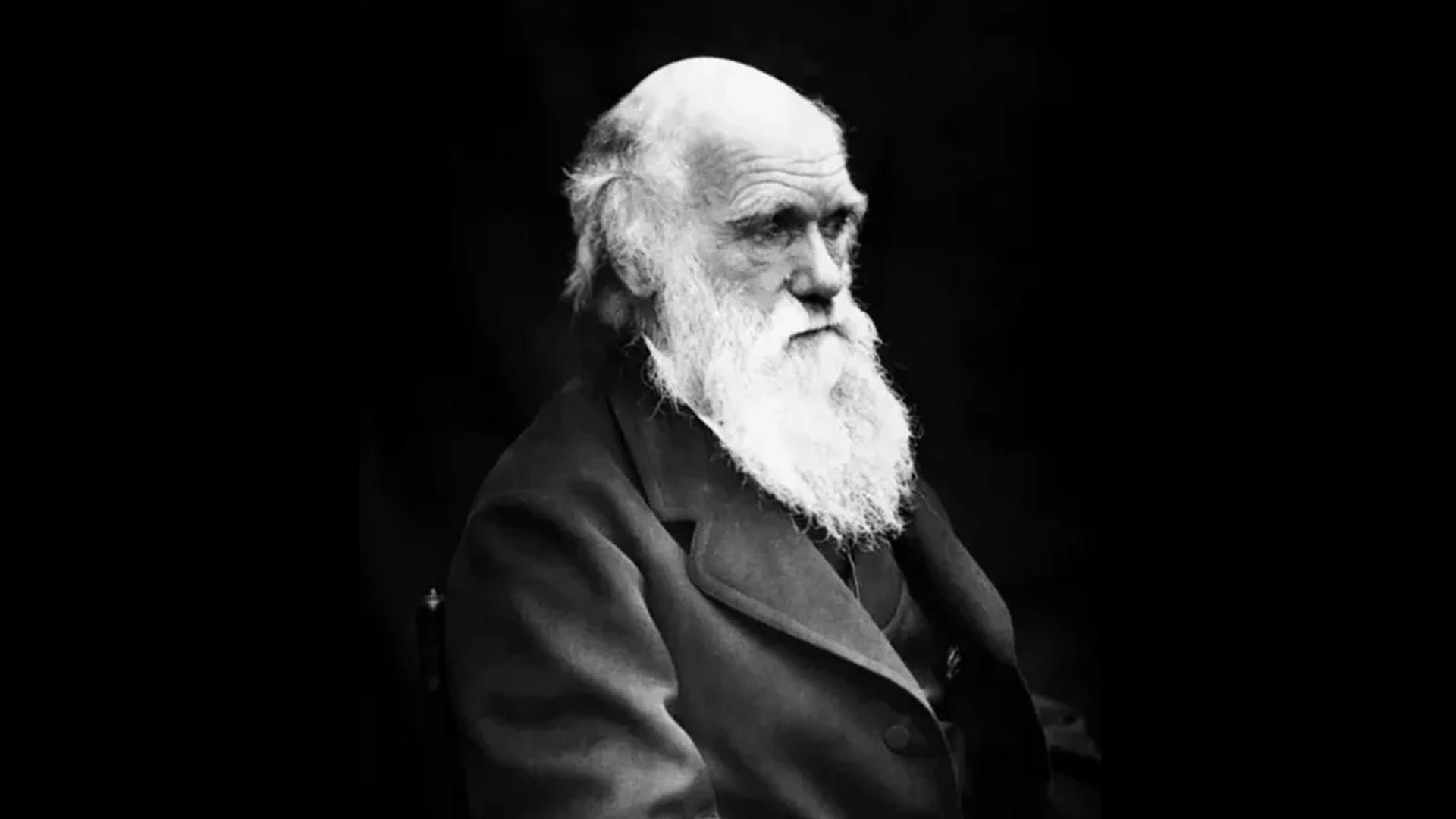 Darwin, Schmarwin. My Kid Ain't Learnin' That!