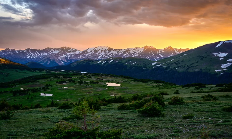 The Autumn of Things