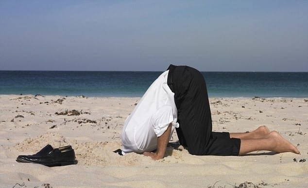 A Hot and Annoying Summer Forecast