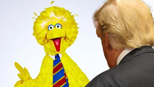 Big Bird Flips the Bird