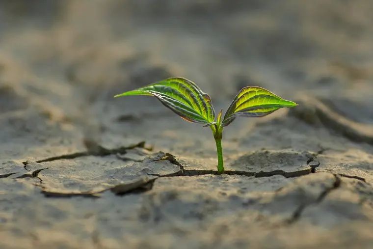 New Year, New Goals, New Me?