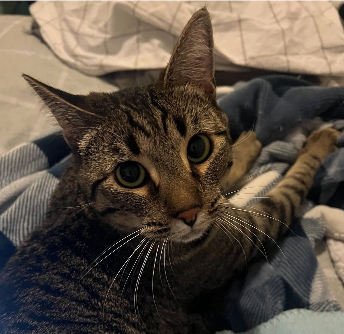 Captain's Log: Kids + Bubble-ology: Messy Combination