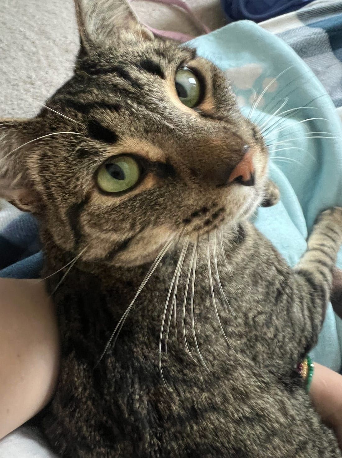 I Made a Playlist for Driving. That Got Me Thinking.