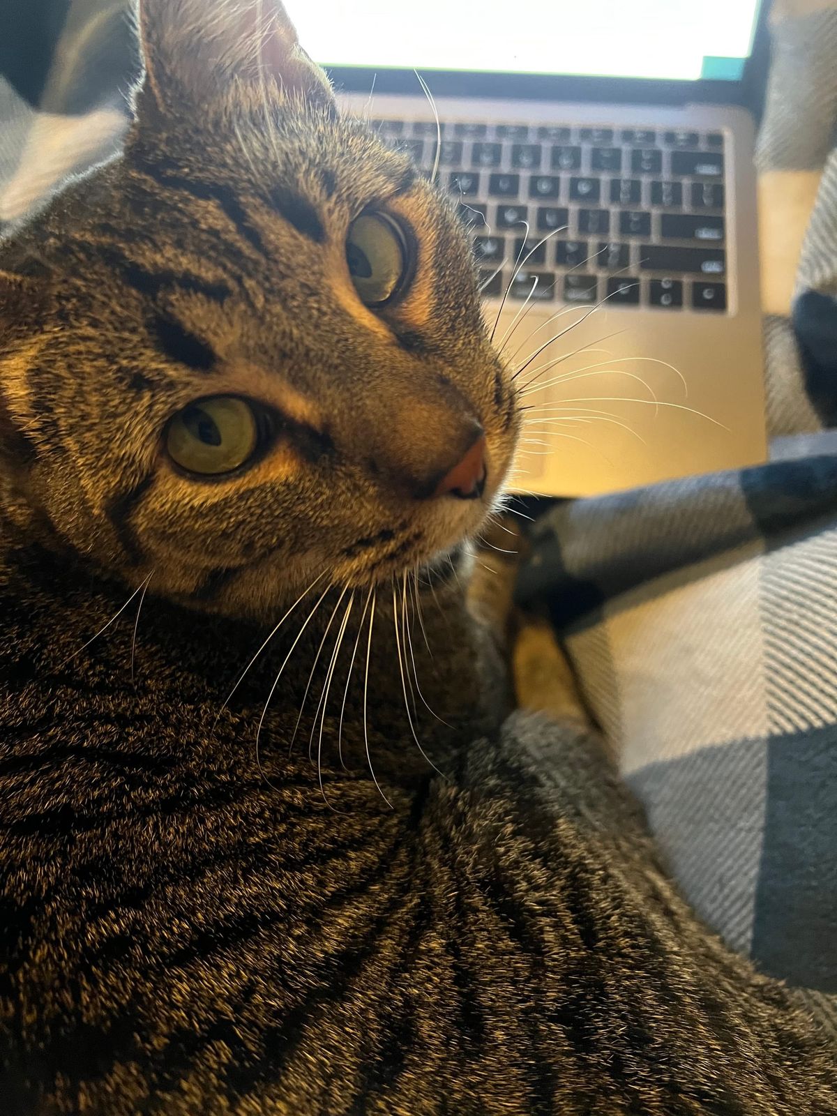 Rising Like The Phoenix: The Refreshing Twist of Consistency