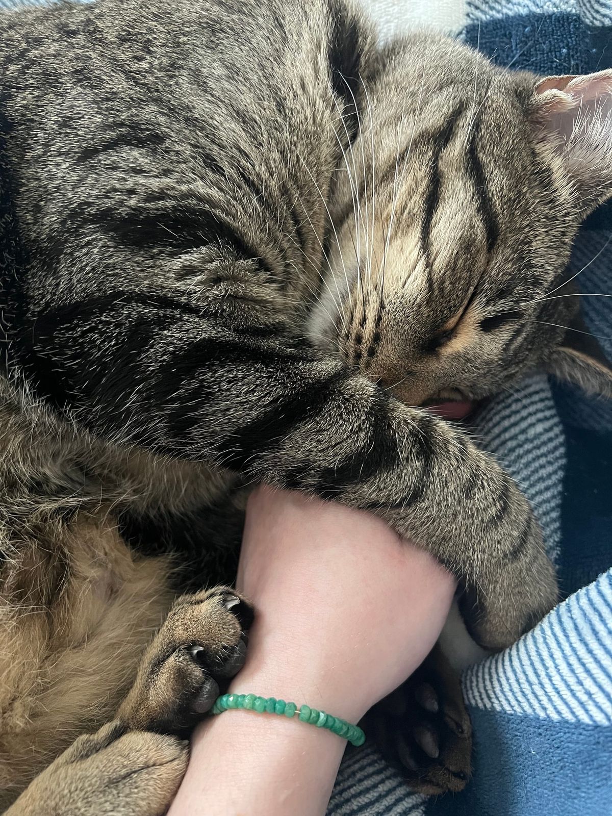 "Do you think autism is a mental disorder?": My Autism Research Deep Dive, Currently