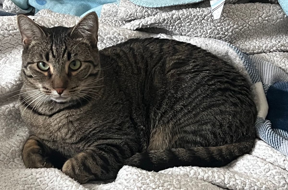 Captain's Log: Why Did I Give Them Balloons So Soon?