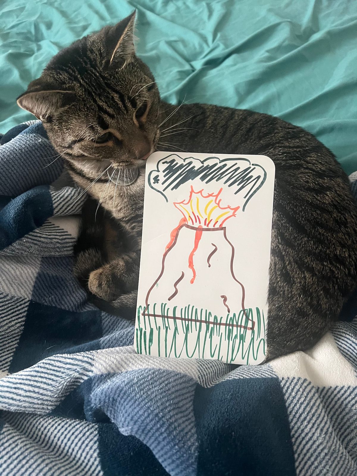 Captain's Log: Lava and a Letdown