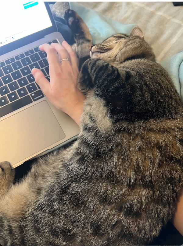 How to Study With ADHD: Some Actually Helpful Advice & Explanation