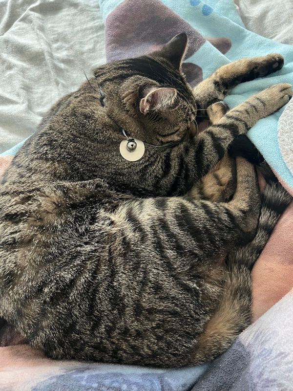 A Review of "The Invisible Manual" by Anonymous