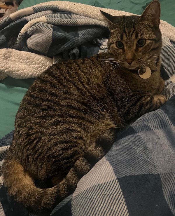 My Own Schmidt Moment