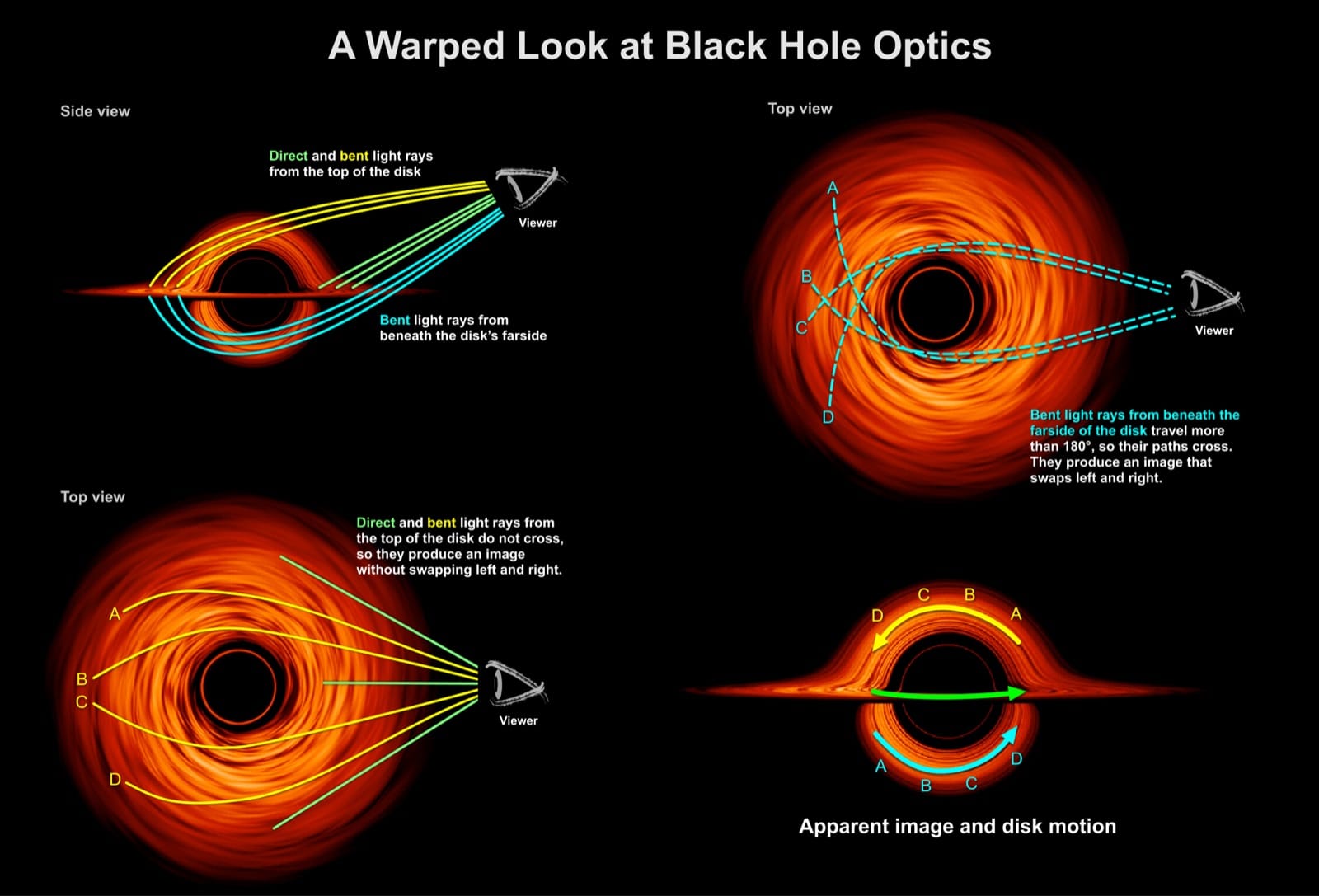 Diagram showing bent light paths from a thin accretion disk around a black hole.