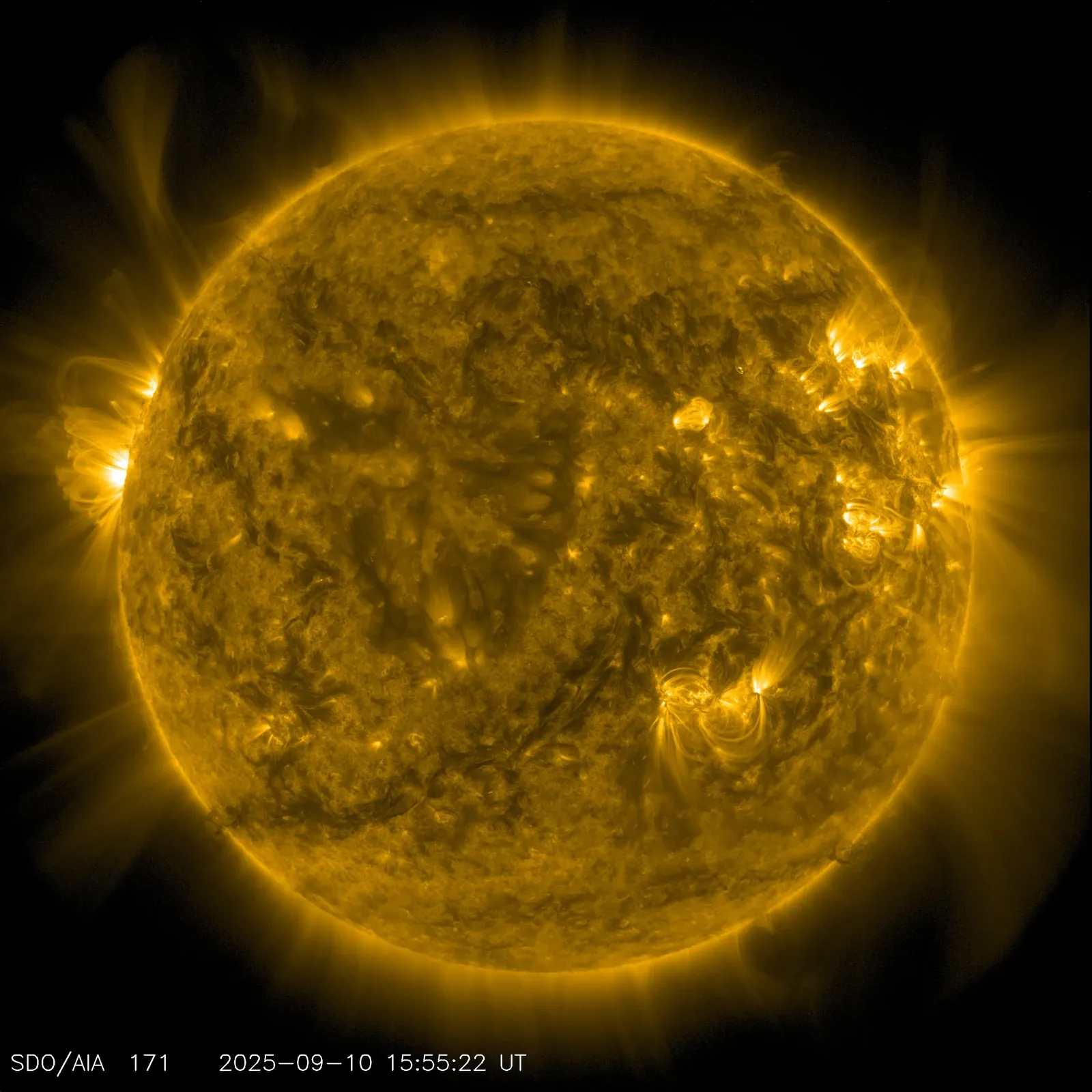 Bright loops and active regions surround the Sun in a golden ultraviolet observation.