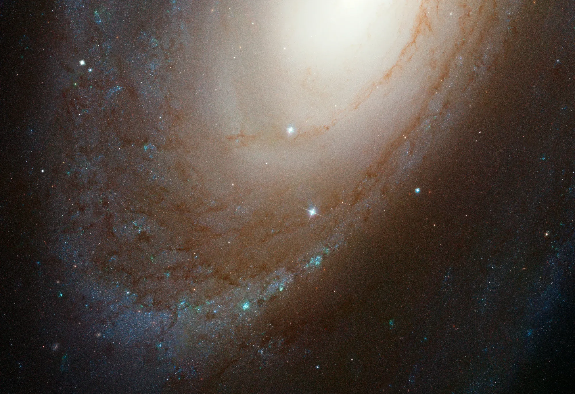 Hubble view of part of M81, with a bright central glow, dark spiral dust lanes and blue regions of young stars.