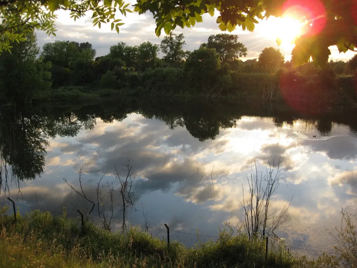 Sky and trees reflected in the former filter beds at Seething Wells.