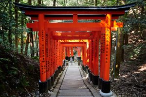 Descendre de la montagne