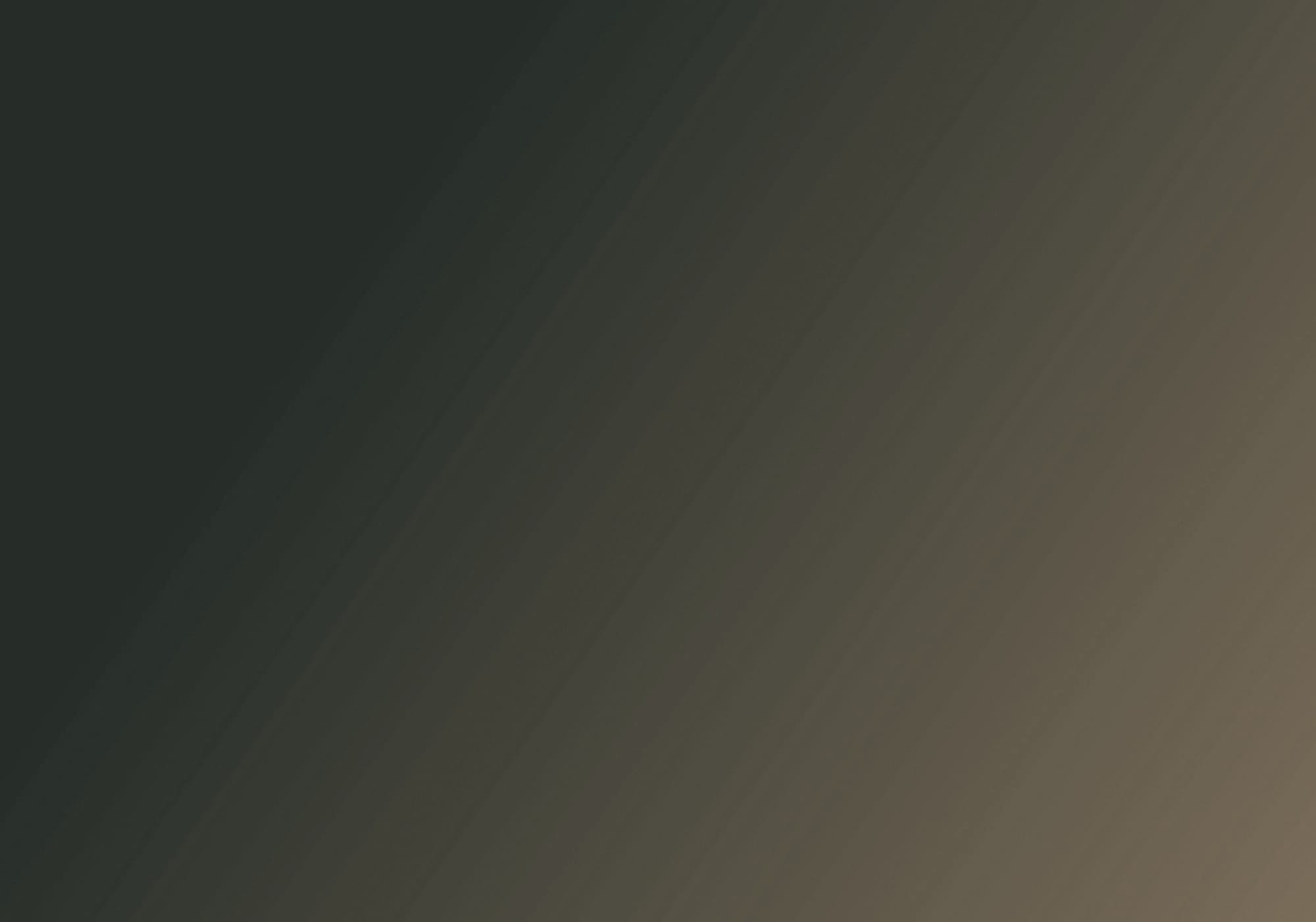 Interstice Collective