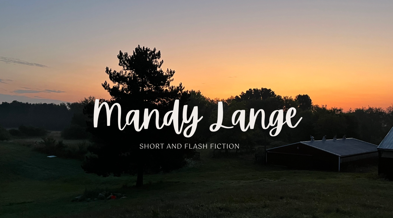 Mandy Lange