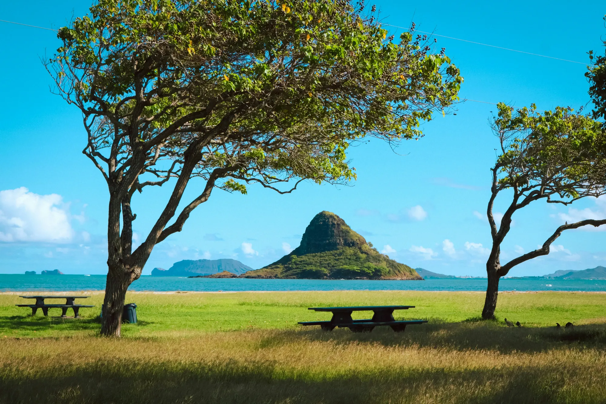 Hawaii, United States (USA)
