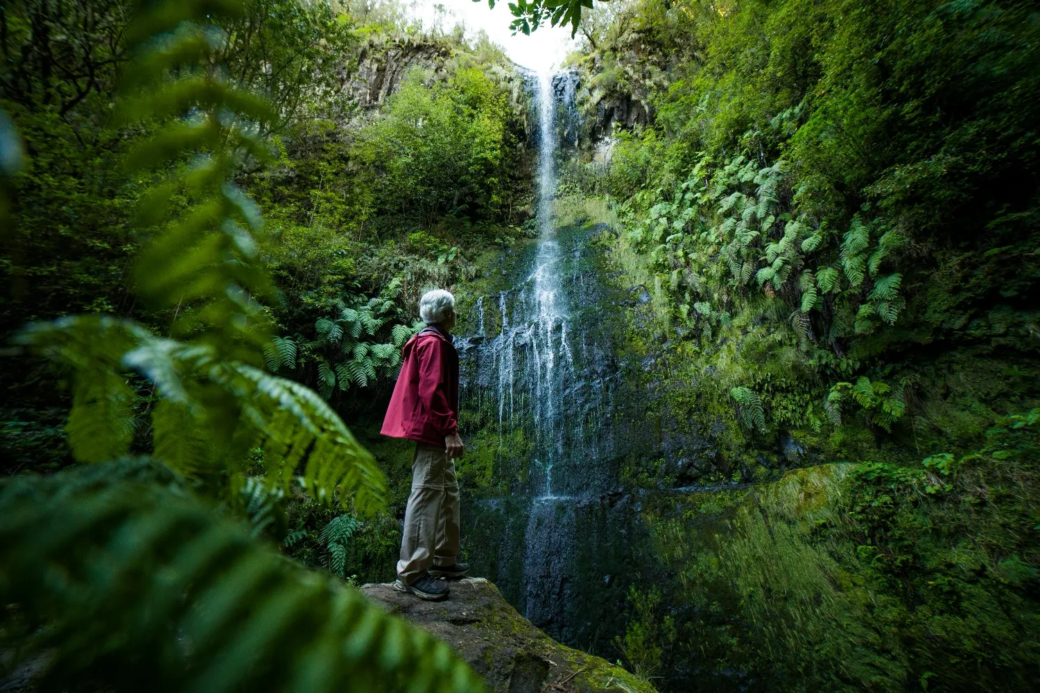 Levada do Caldeirão Verde, Portugal
