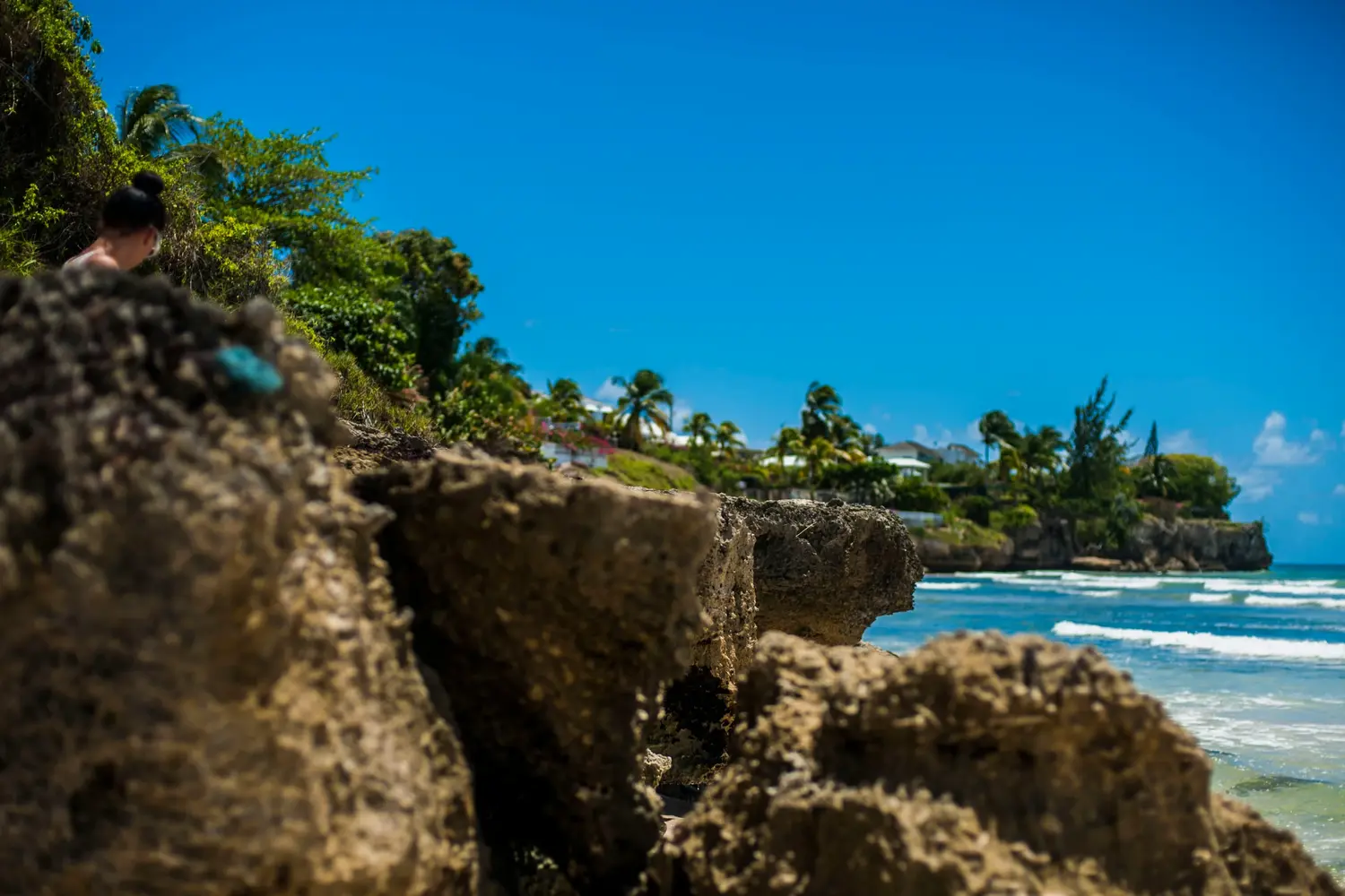 Rocky coastline in Barbados