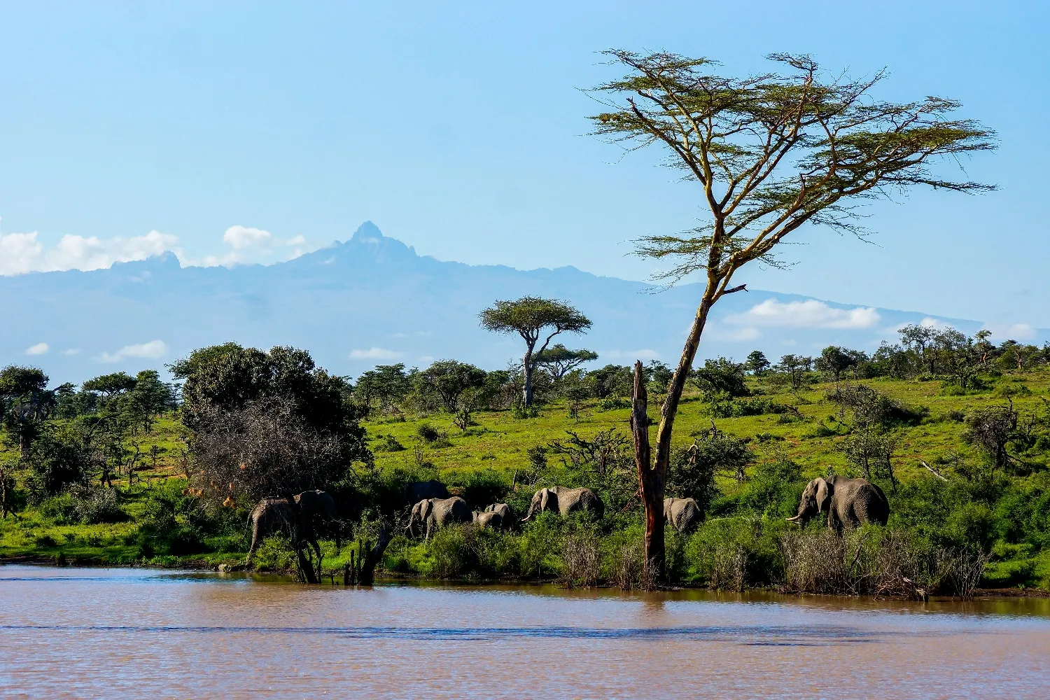 Laikipia, Kenia