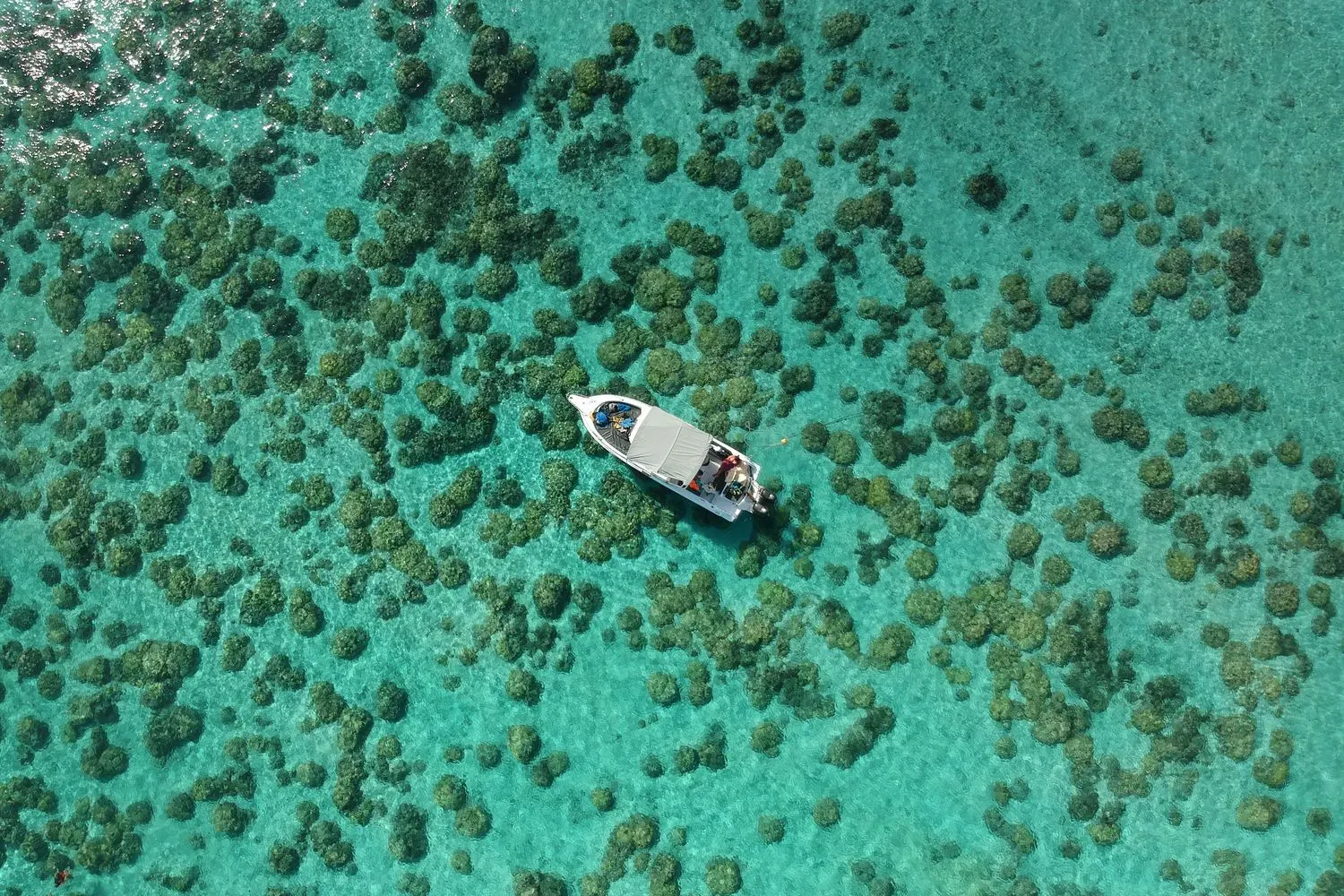 Mauritius