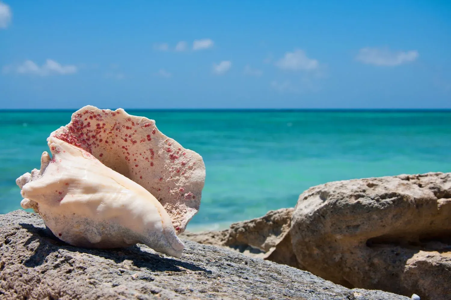 Providenciales, Turks and Caicos