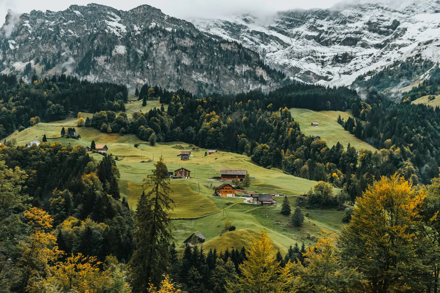 Swiss Alpine Valley