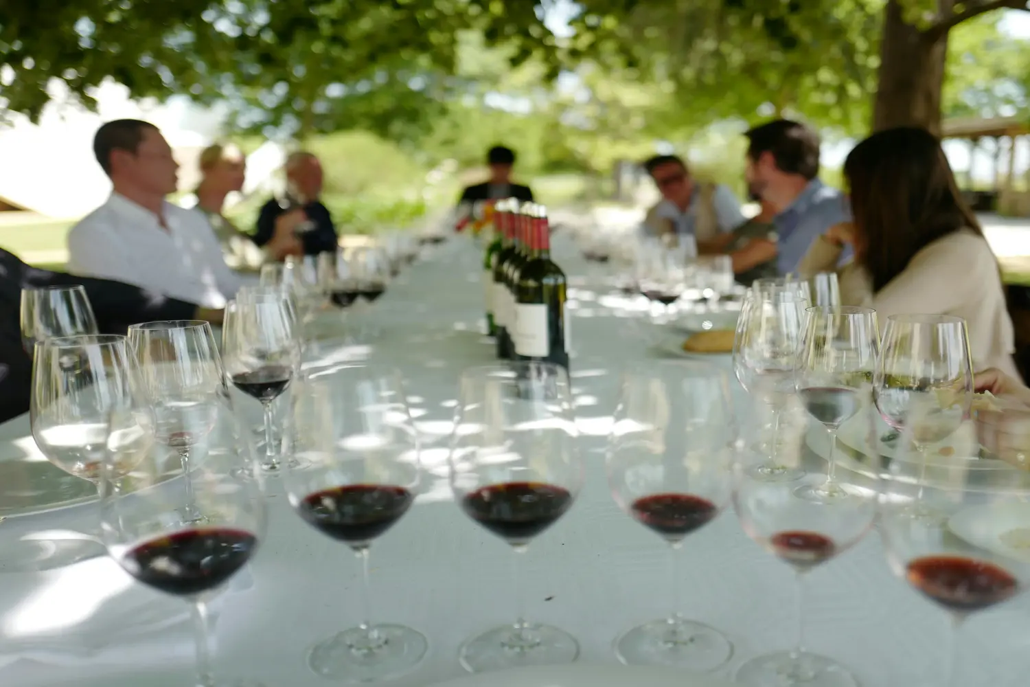 Outdoor wine-tasting gathering with a group of people seated in Bordeaux, France