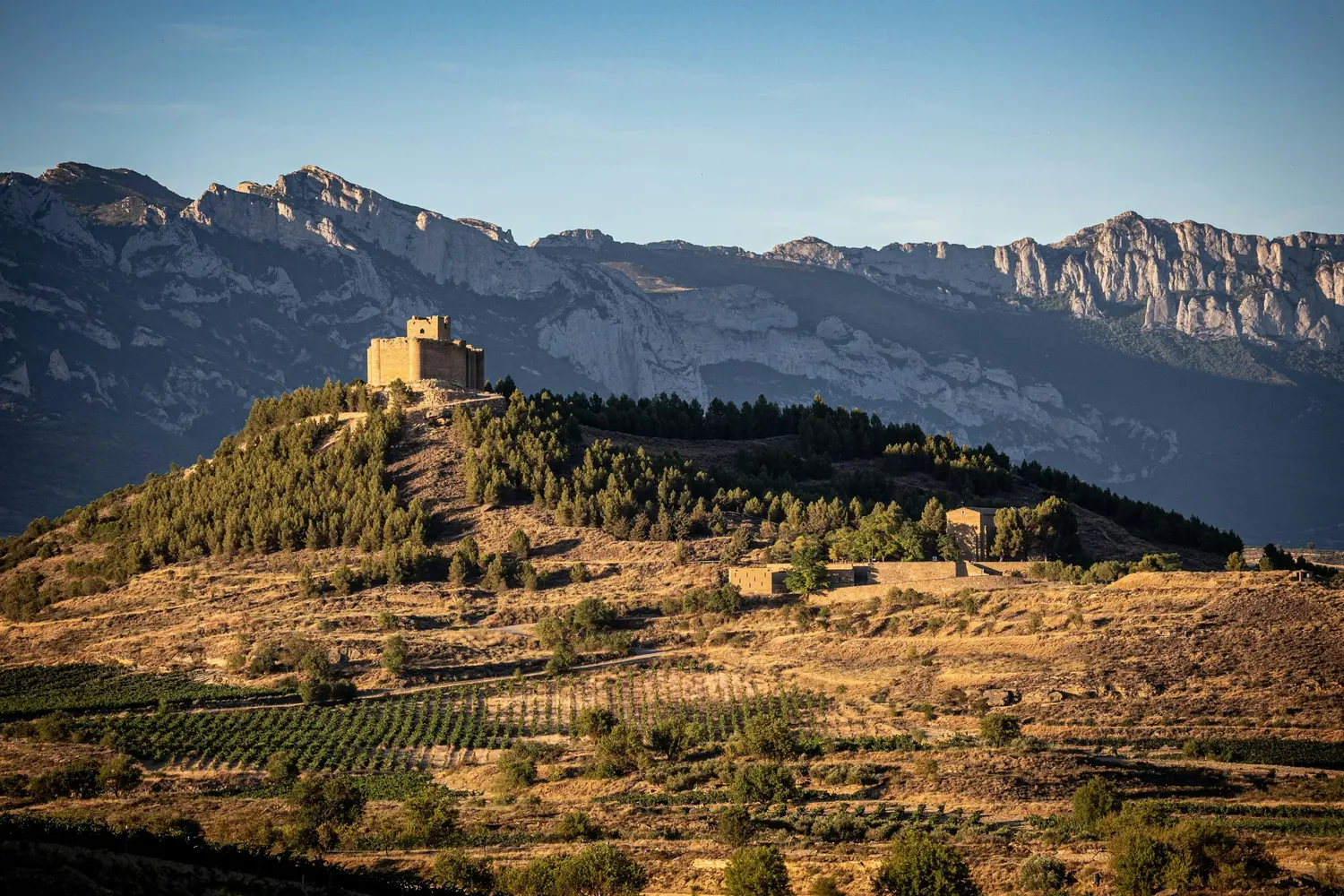 Historic hilltop castle overlooking vineyards and mountains.