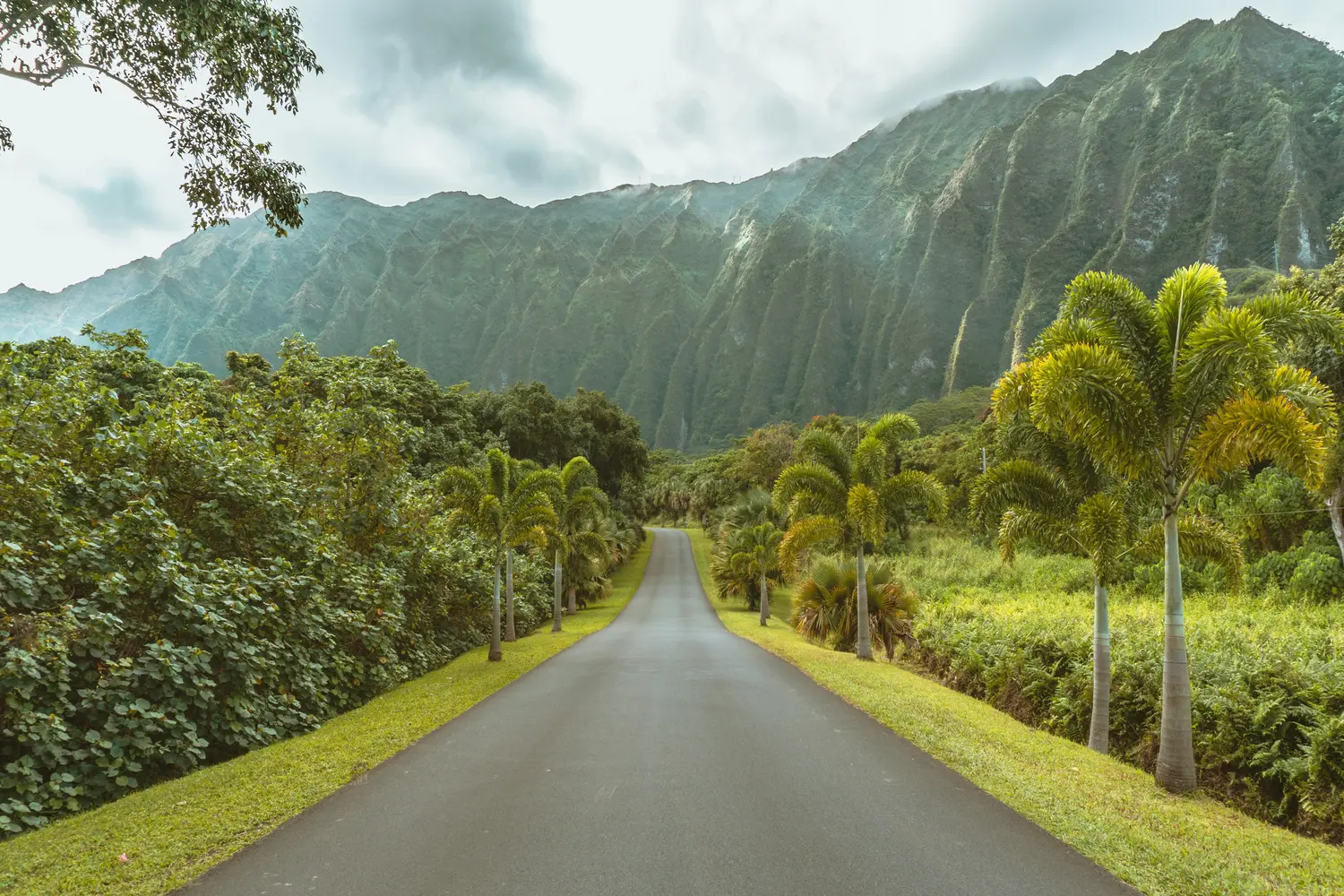Hoʻomaluhia Botanical Garden in Kāneʻohe, Oʻahu, Hawaii