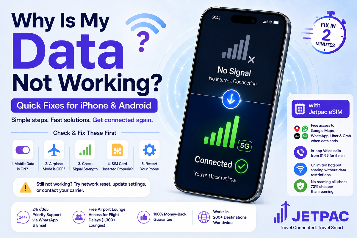 Why Is My Cellular Data Not Working on iPhone or Android?