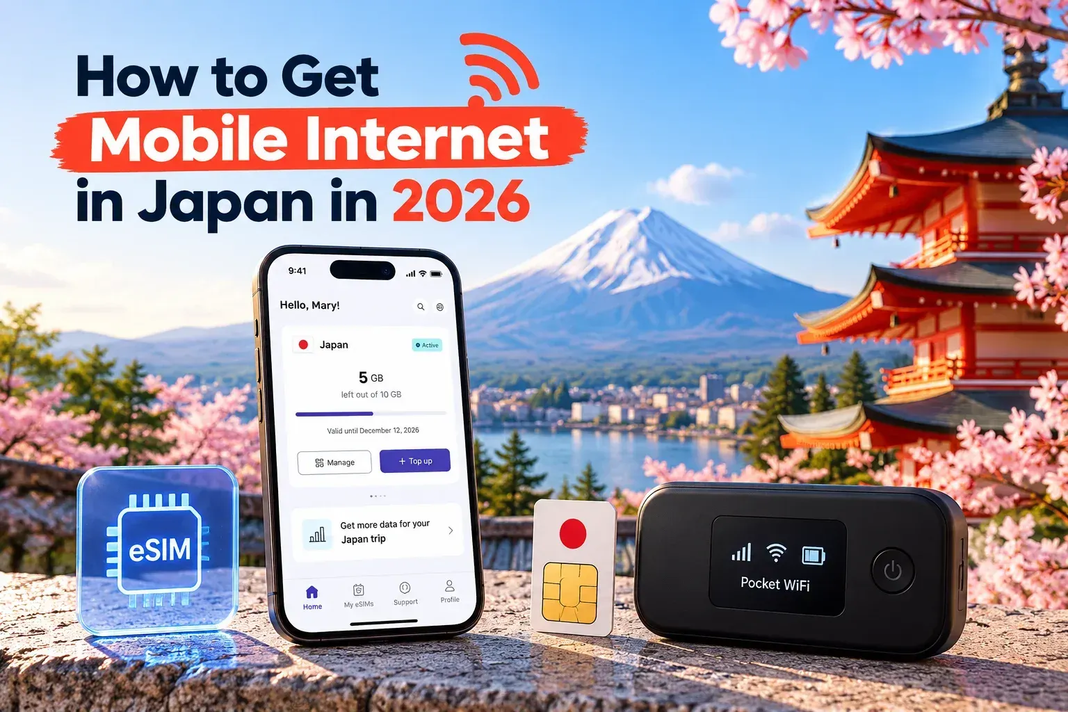 Mobile Internet in Japan