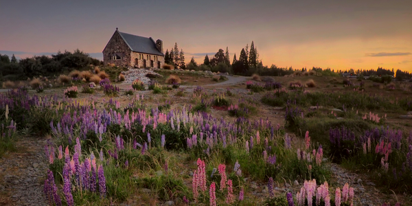 New Zealand Travel Guide