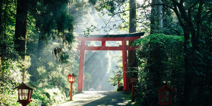 Japan Travel Tips: What You Must Know Before You Fly