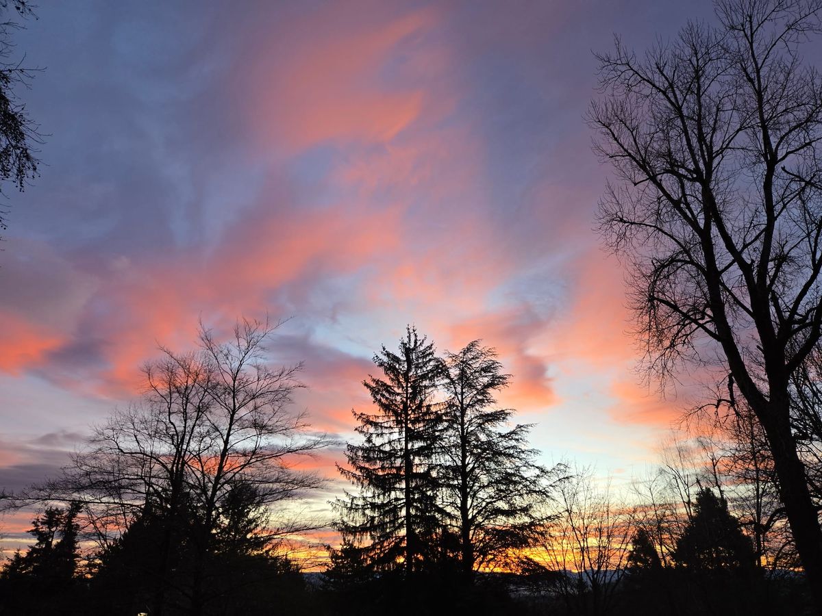 Winter Wisdom: Shedding Samskaras, Awakening Belonging, and Rising Together